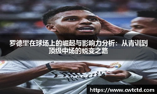 乐盈VI官网